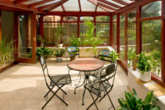 Halse conservatory quotes